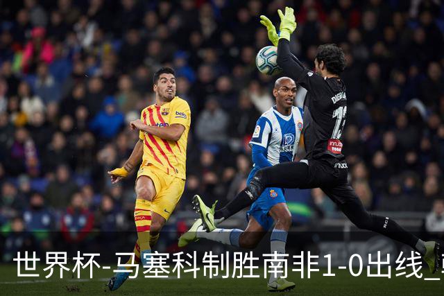 世界杯-马塞科制胜南非1-0出线 韩国积3分获小组第三待定
