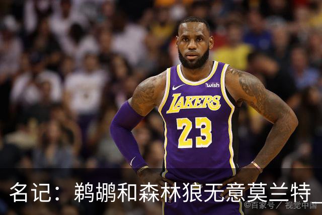名记：鹈鹕&森林狼无意莫兰特 热火也不急于尝试其与字母哥的搭档