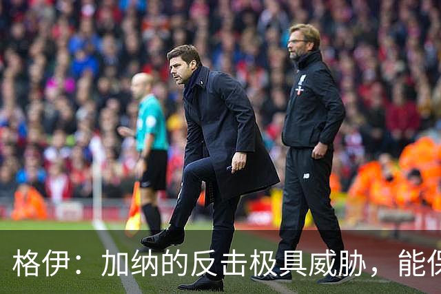 格伊：加纳的反击极具威胁，能保持零封也是积极的一面
