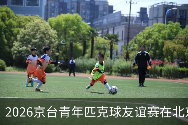 2026京台青年匹克球友谊赛在北京举办